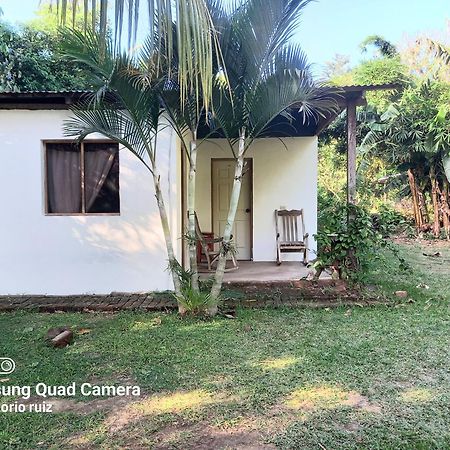 Mérida Hostel Los Chocoyos المظهر الخارجي الصورة