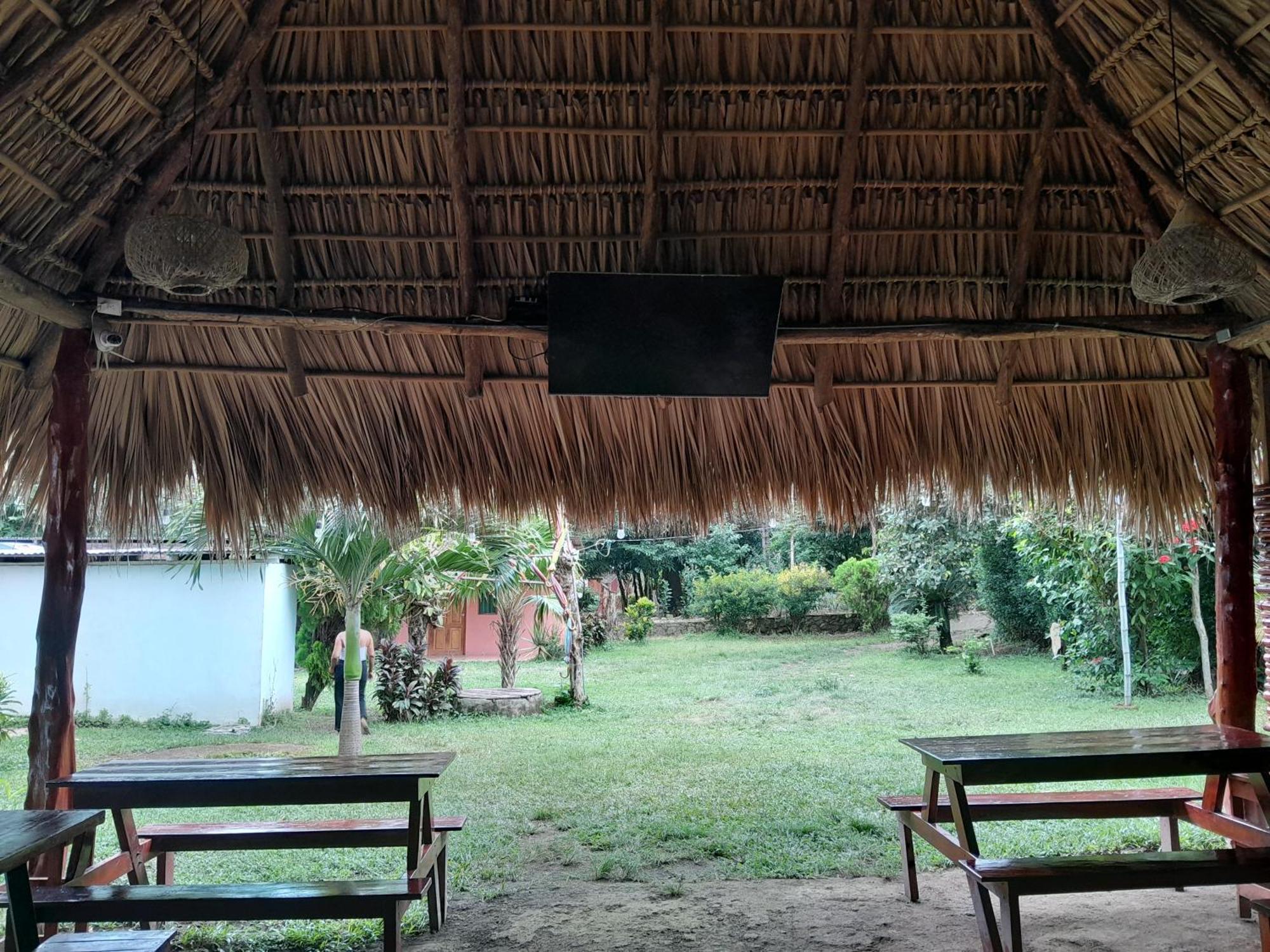 Mérida Hostel Los Chocoyos المظهر الخارجي الصورة