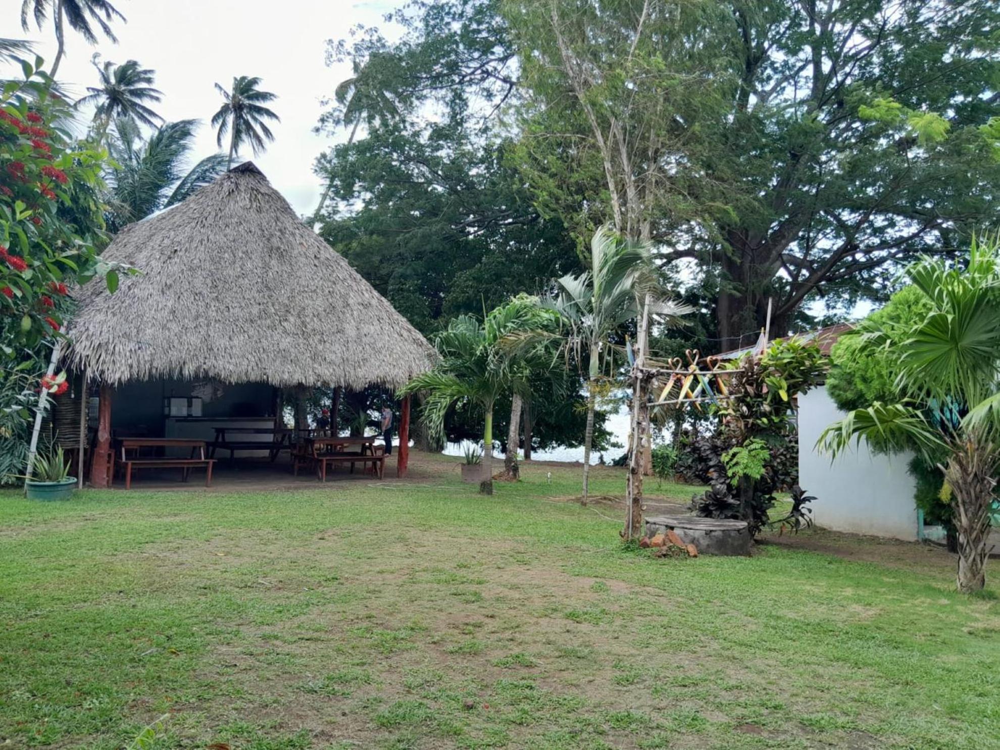 Mérida Hostel Los Chocoyos المظهر الخارجي الصورة