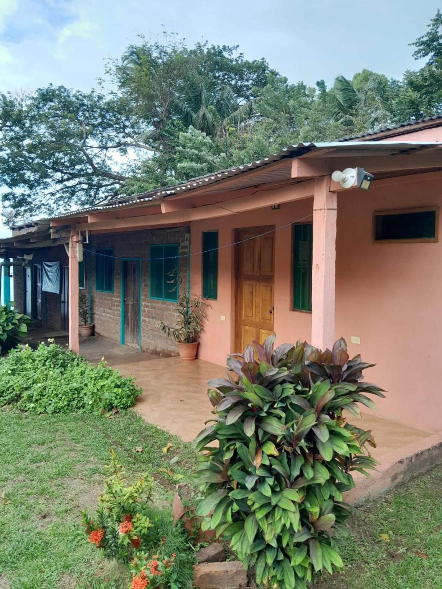 Mérida Hostel Los Chocoyos المظهر الخارجي الصورة