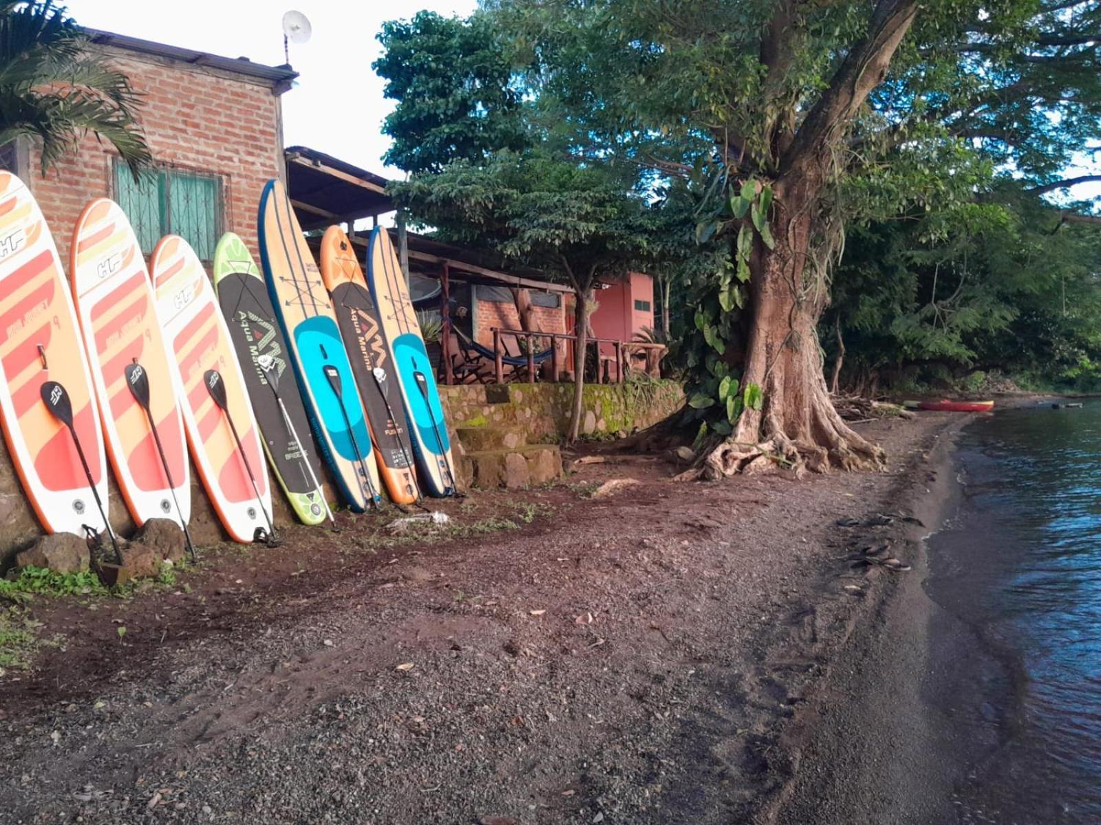 Mérida Hostel Los Chocoyos المظهر الخارجي الصورة