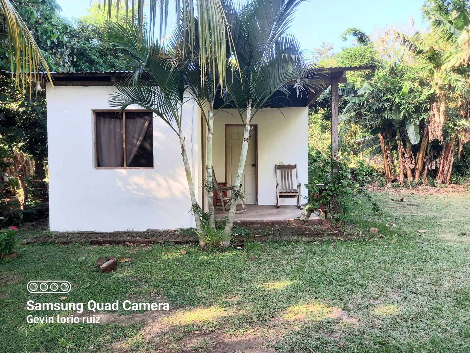 Mérida Hostel Los Chocoyos المظهر الخارجي الصورة