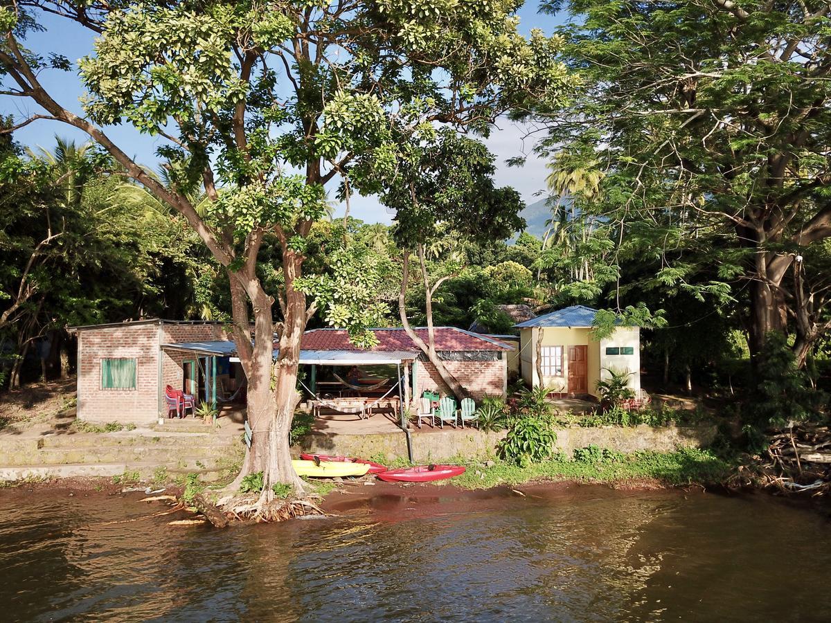 Mérida Hostel Los Chocoyos المظهر الخارجي الصورة